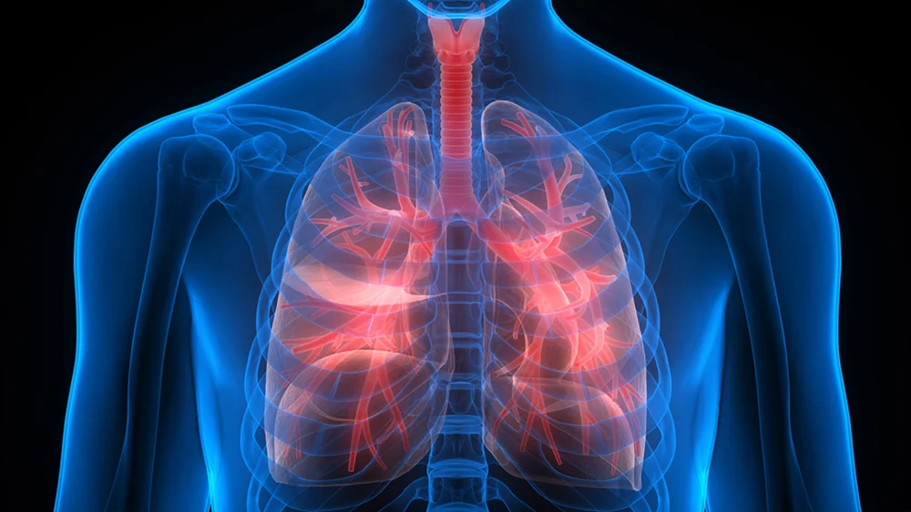 copd lungs