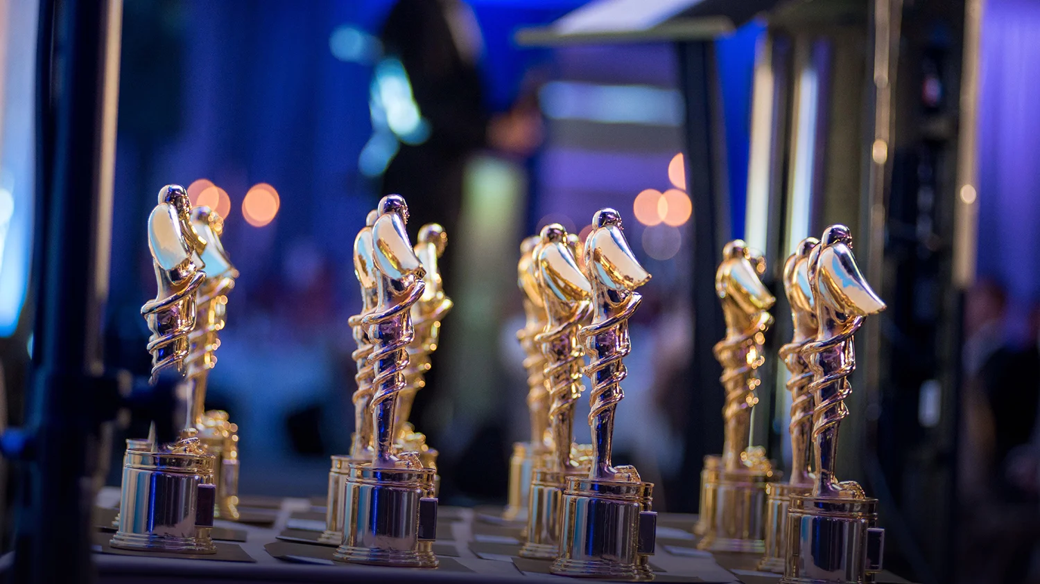 hospital professional awards winners