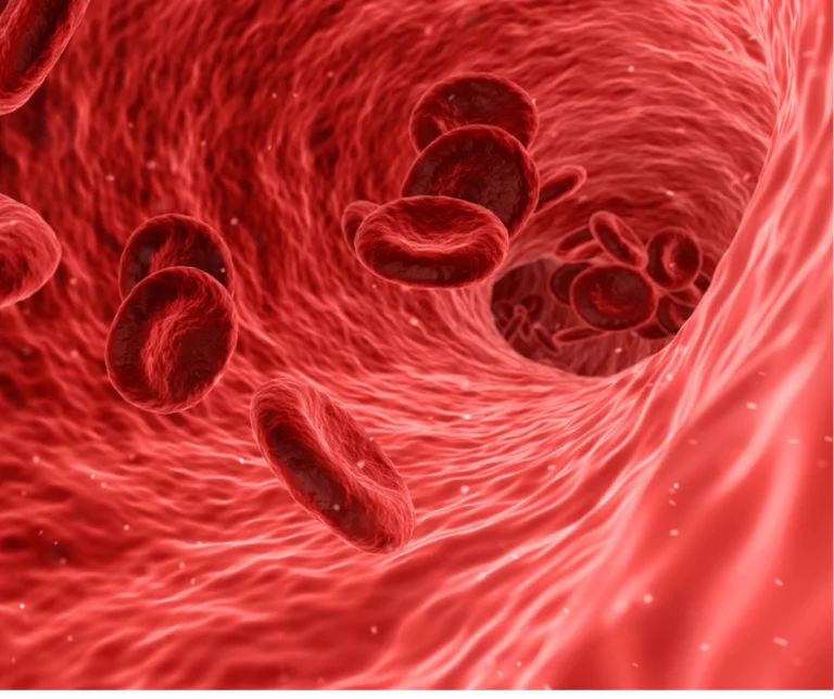 Blood cells