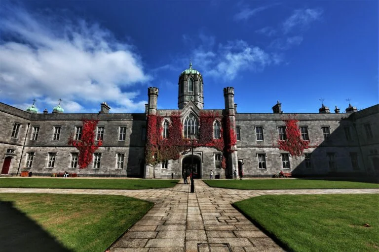 university