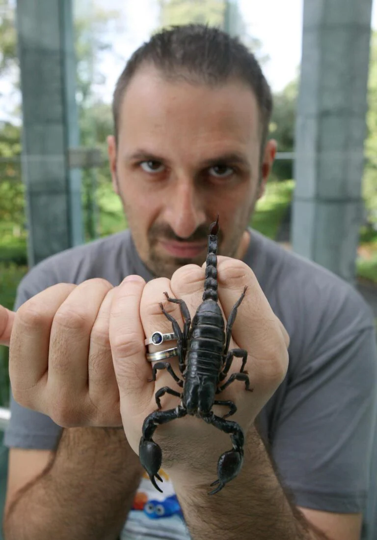 scorpion