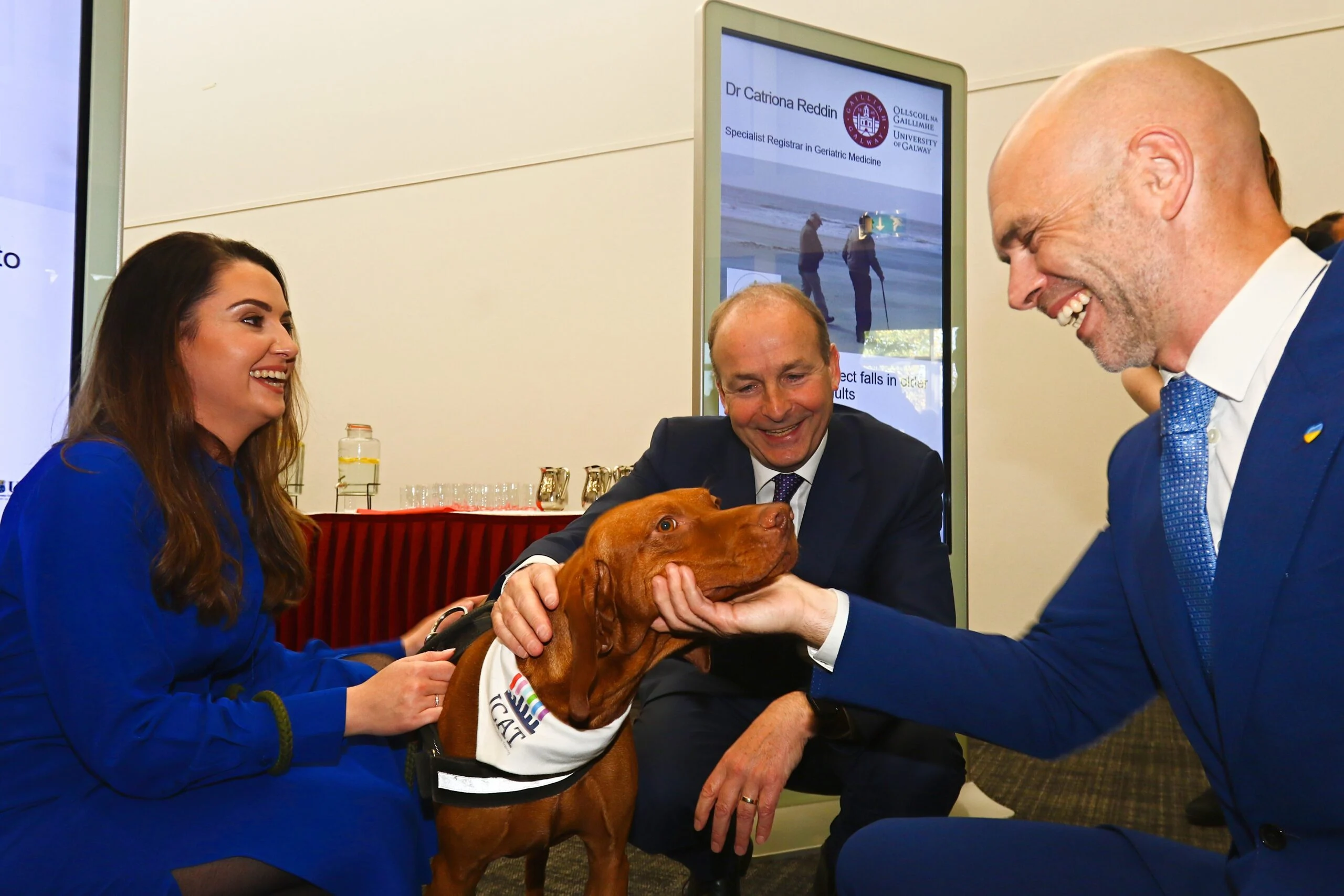 Cross border programme, supported by the Health Research Board, enters second phase and is expanded to offer integrated clinical and research training to the brightest doctors, vets and dentists to become world class clinician scientists