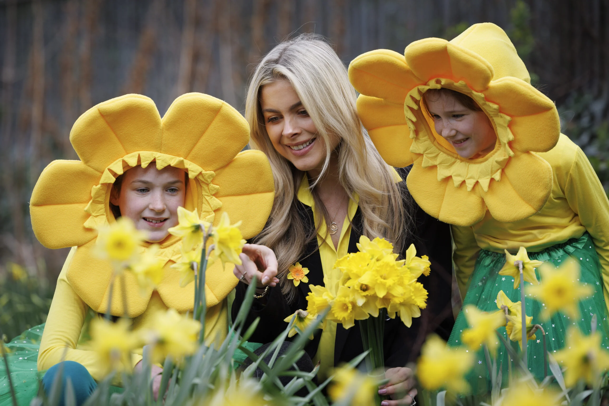 Irish Cancer Society