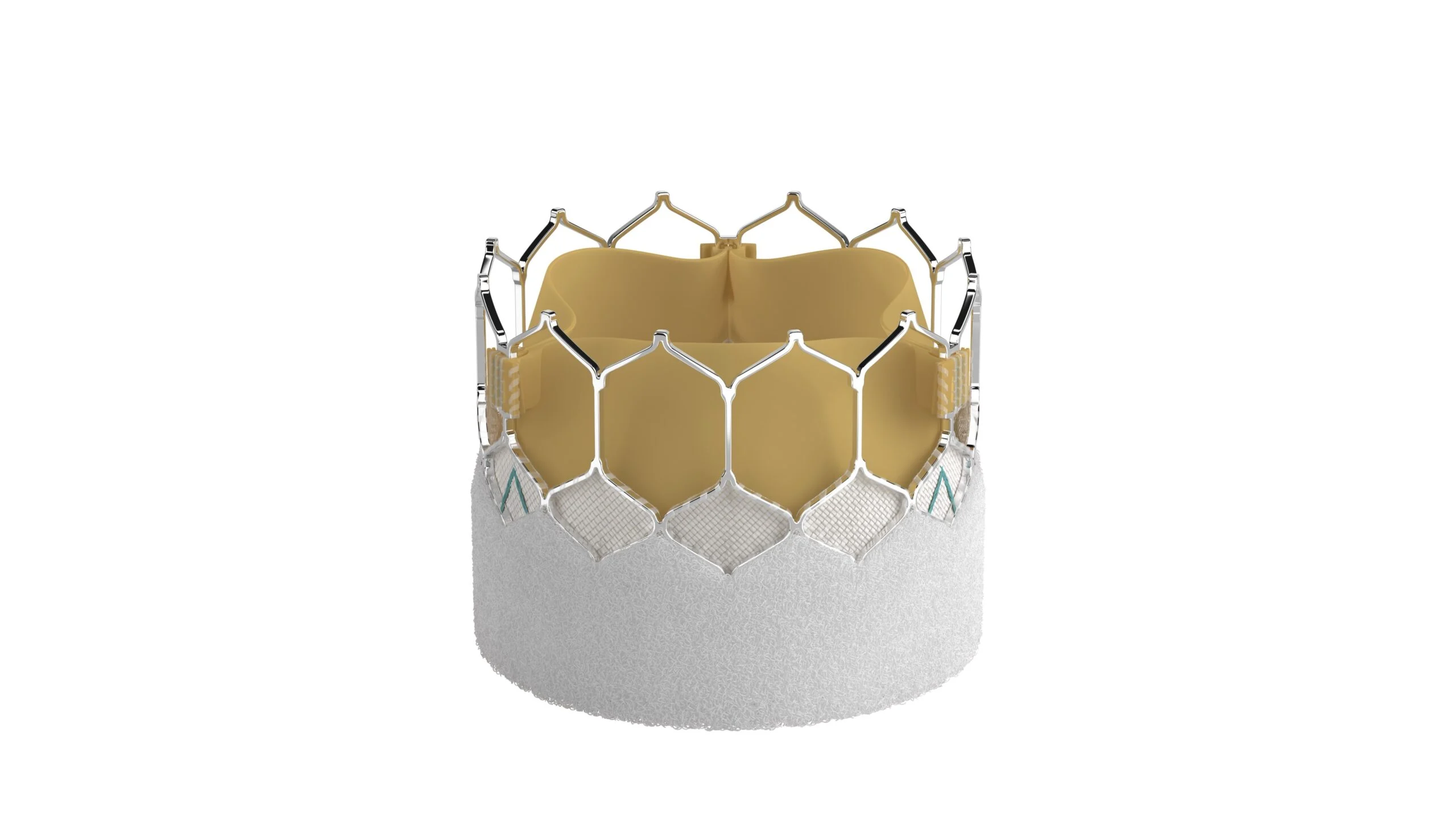 SAPIEN 3 Ultra RESILIA valve from Edwards Lifesciences’