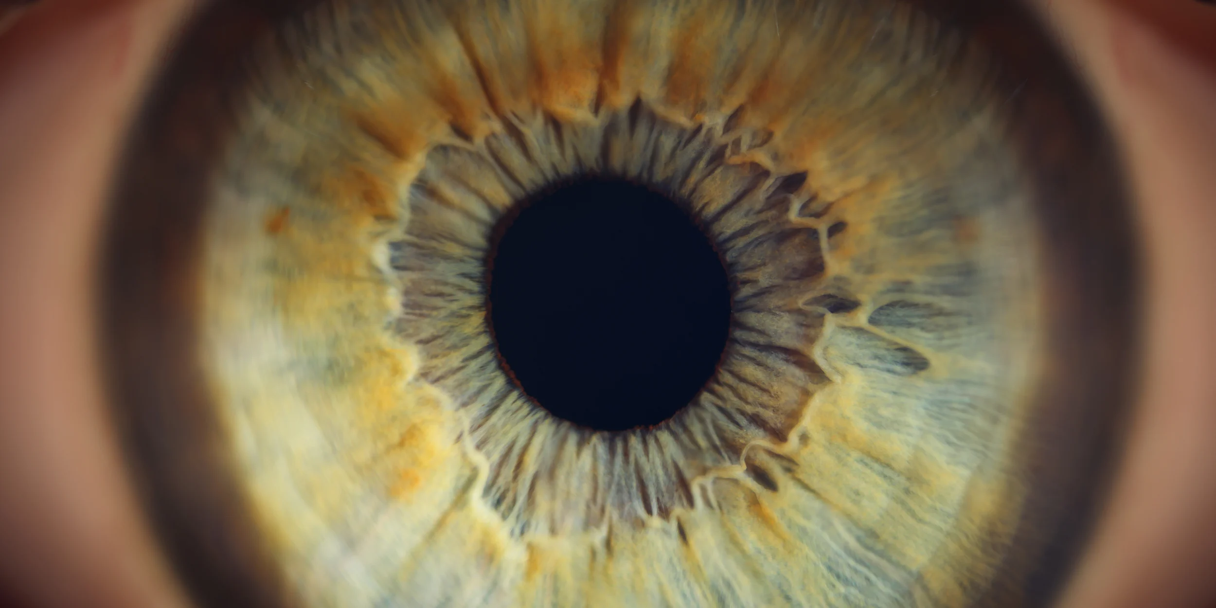 EYLEA® 8mg for Wet AMD and Diabetic Macular Oedema